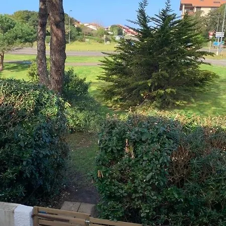 Patio 6 Couchages Seignosse