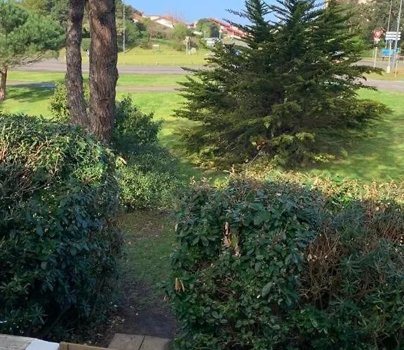 Patio 6 Couchages Seignosse